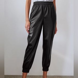 Aritzia Babaton Zedel Faux Leather Pants